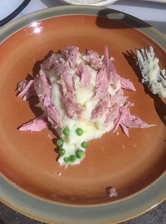 Hedgehog Mash and Ham